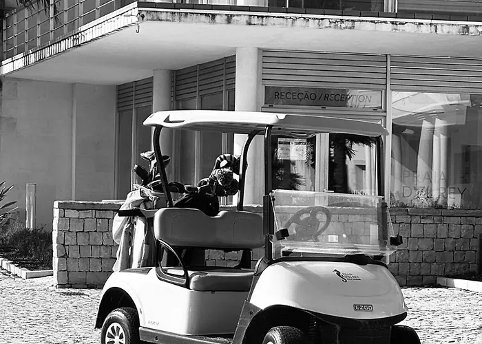 Burgo D Manuel Pinhal 14 * Amoreira